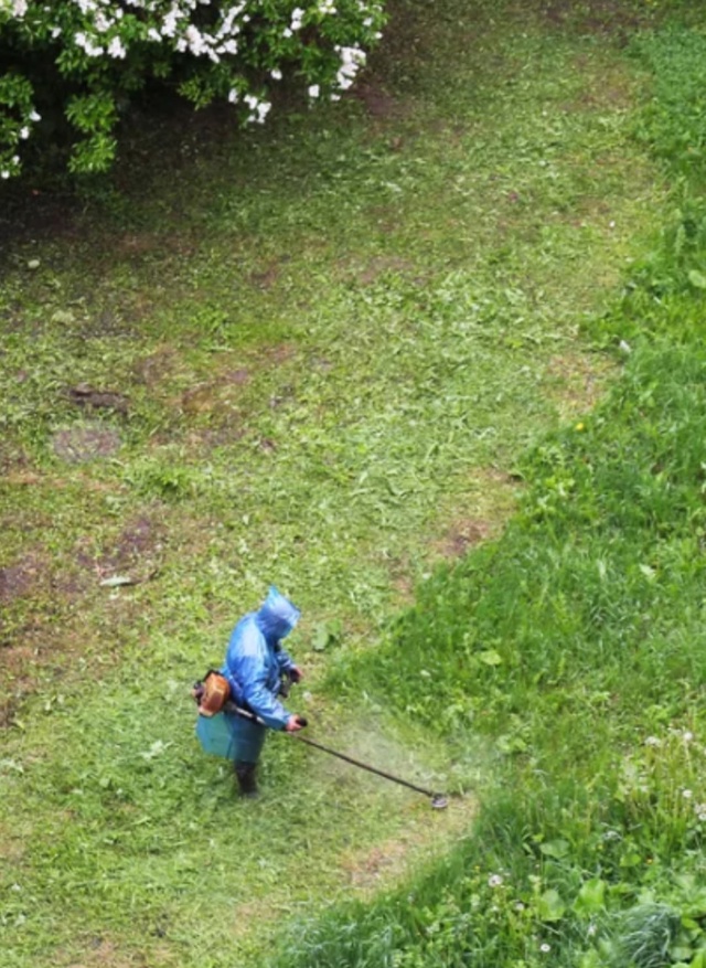 СПИЛИМ ЛЮБОЕ ДЕРЕВО (рядом с домами, проводами, заборам...