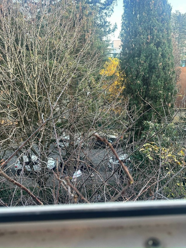 #нампишут
Здравствуйте!
Сегодня на улице Садовая, из ?...