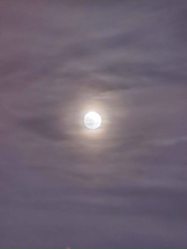 🌕 Бобровое суперлуние уже в небе над Москвой.
Подним...