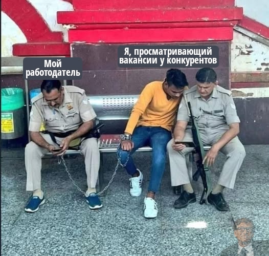 #программисты #айти