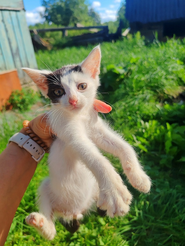 Здравствуйте! Разместите, пожалуйста 🙏
7 замечательны...
