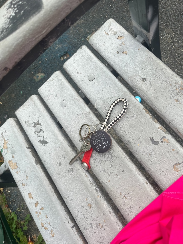 Найдены ключи, лежат на лавочке, на площадке ул.Володар...