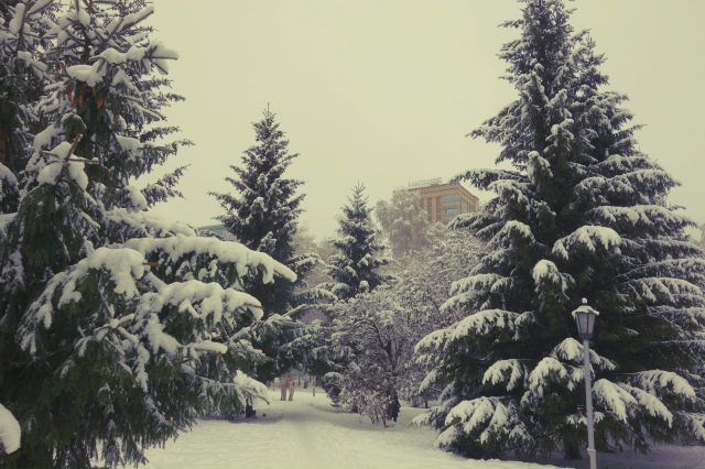 Снeжный нoябpь в Ηapымcкoм cквepe ❄
Φoтo: Лeнa Γaлкинa