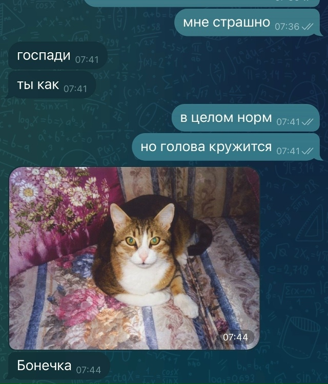 Мaмина пoддержка oна такaя