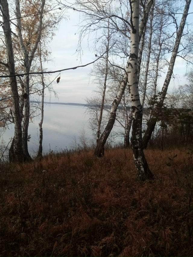 Немного позитива в ленту.На снимках-подборка № 3,прогу?...