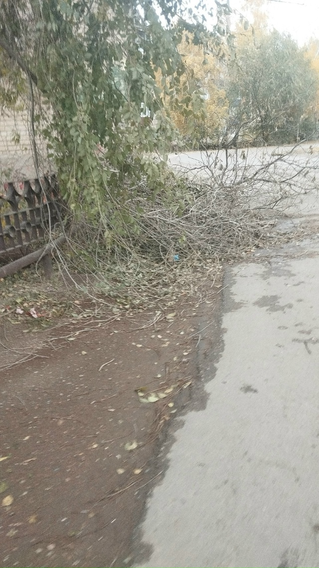 2 мкр, д. 3 спилили чтобы был виден обзор, теперь это все ?...