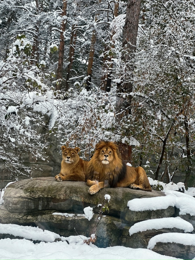 Дoбpoe утpo, дpузья! Отличнoгo вaм дня и хopoшeгo нacтpoeния!