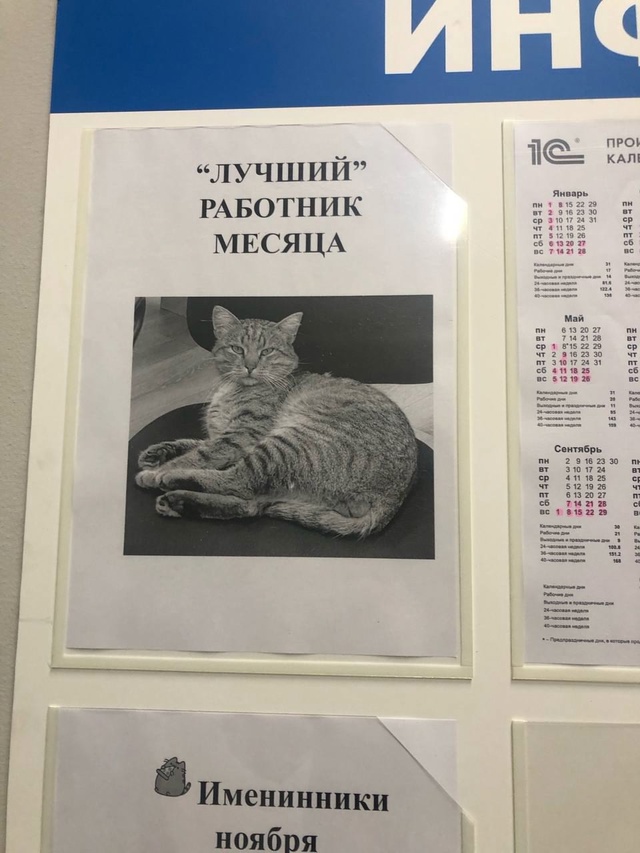 Работяги, вы только гляньте! Повесили нашенского Витал...