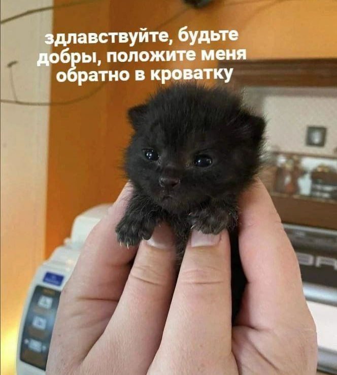 Утренняя подборочка
