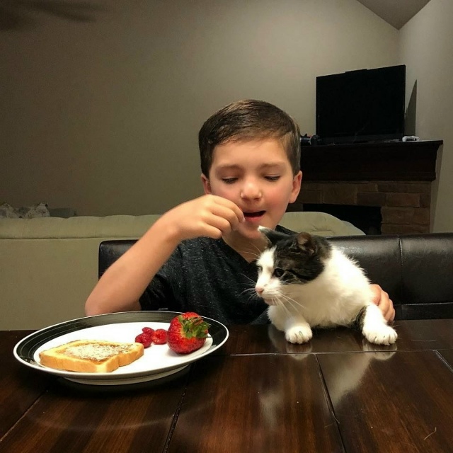 Это одна из тех историй, которые невозможно читать без ...