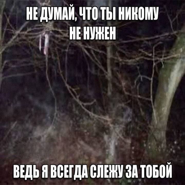 Утренняя подборочка