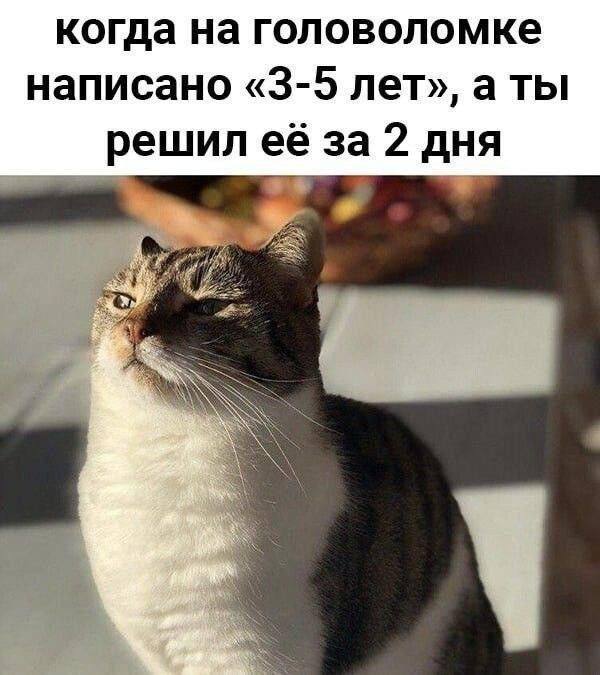 а мы точно в плюсе?