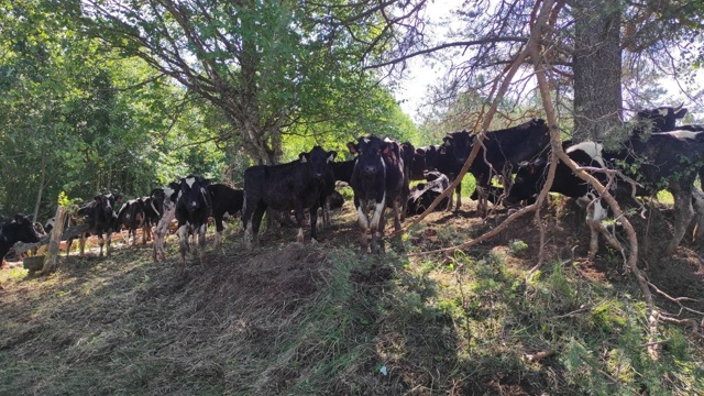 ❗После вмешательства администрации Верховажского ок?...