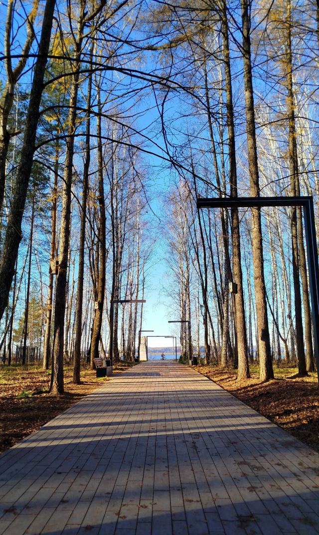 11.11.25г.
побольше бы таких дней, ясных, ярких и красивых!!!...