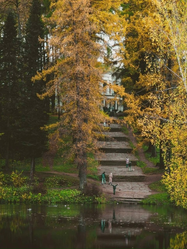 🏛 Усадьба Середниково в осенней красе
Находится она ?...