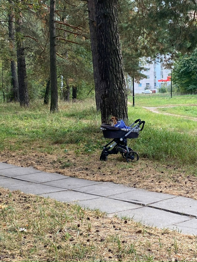 Я не знаю куда писать новость, напишу сюда. Сегодня утр?...