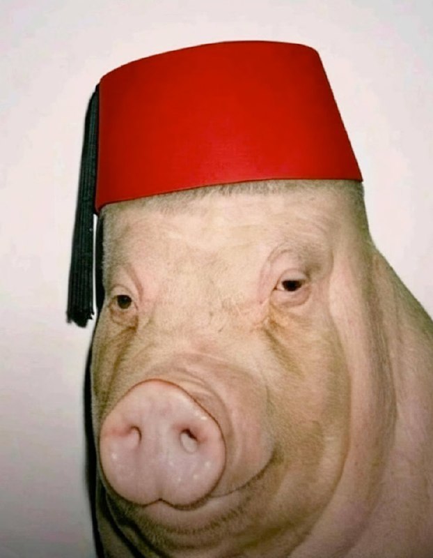 В интернете появился новый мем