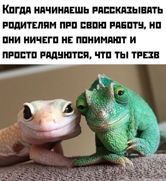 Бывает и так