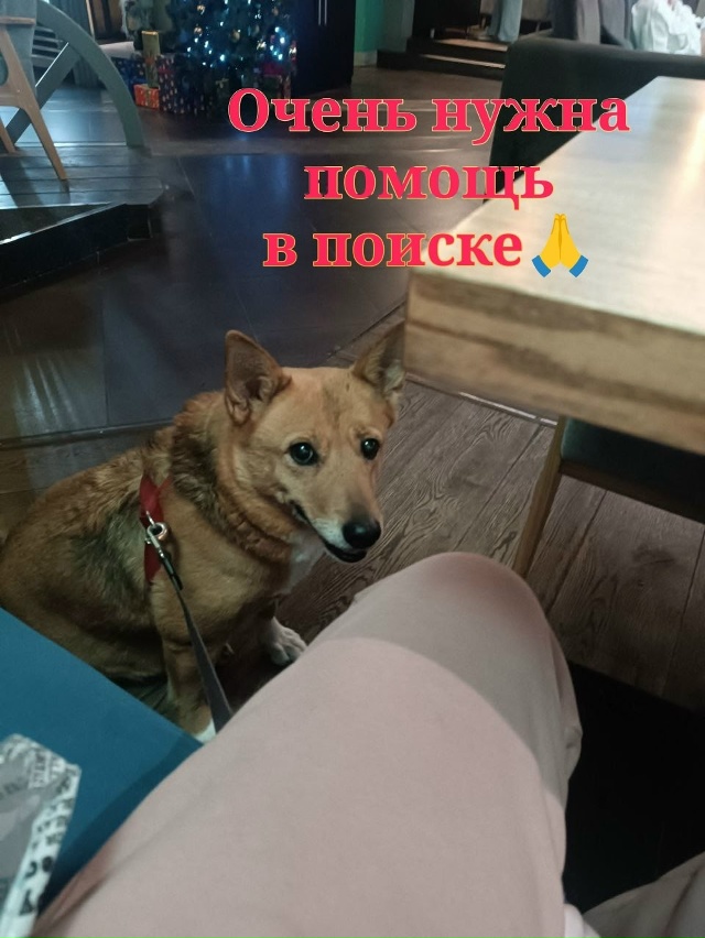 📢📣Нижегородская область. Борский район. Воскресенск...