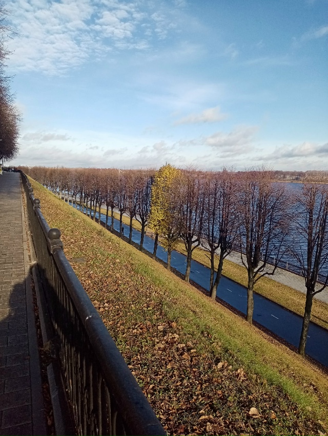 Не сдаётся 😊