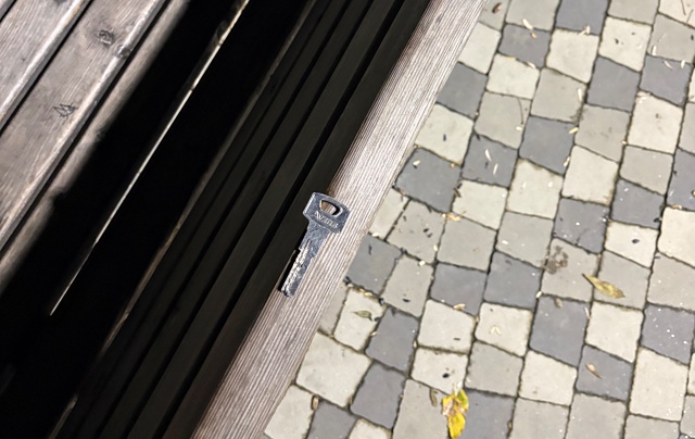 Нашел ключ , парк ( олимпийский комплекс )
Связь 89886212846