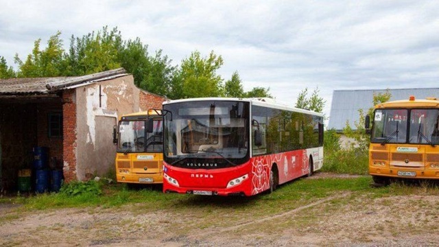 Ох, заживём 😁😂😂😂
Бывшие пермские автобусы начали ?...