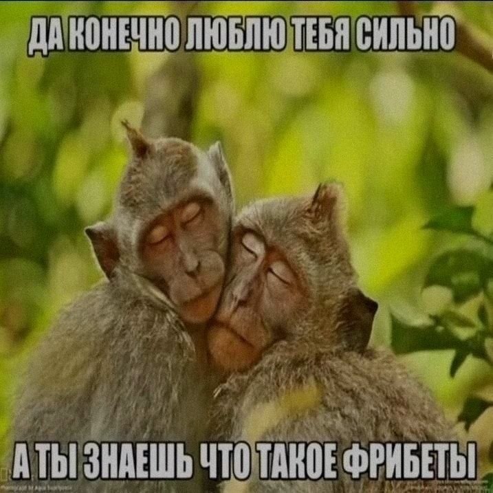 Ночная подборочка
Выходные, не спим
