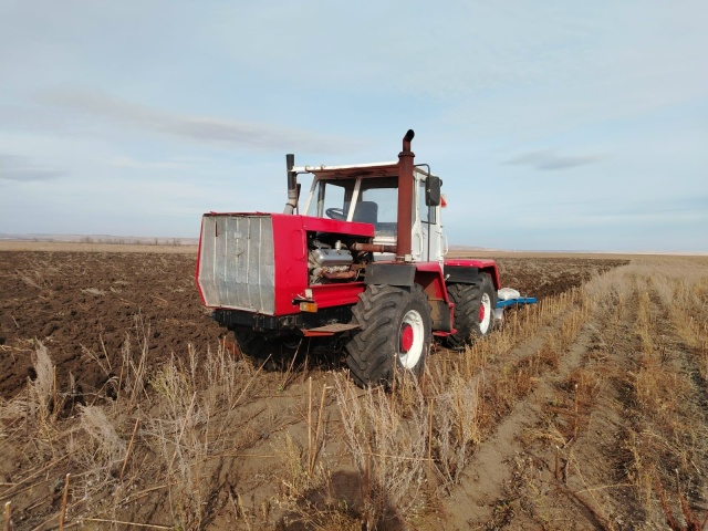 89011137429 . Продам