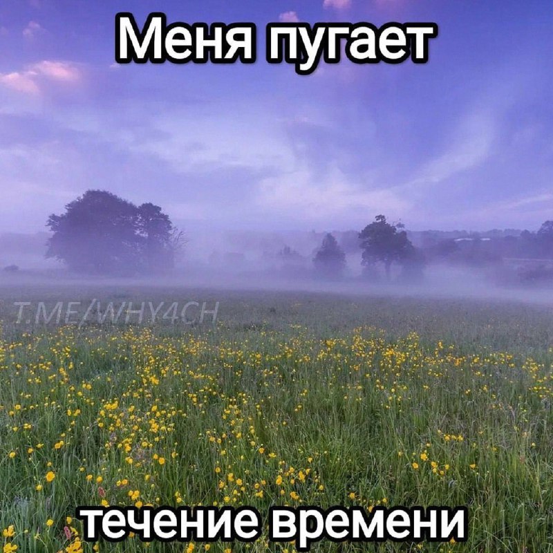 Утренняя подборочка