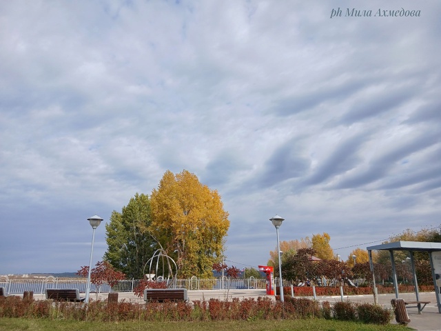 Несмотря на пасмурный октябрьский день четверга. ?
...