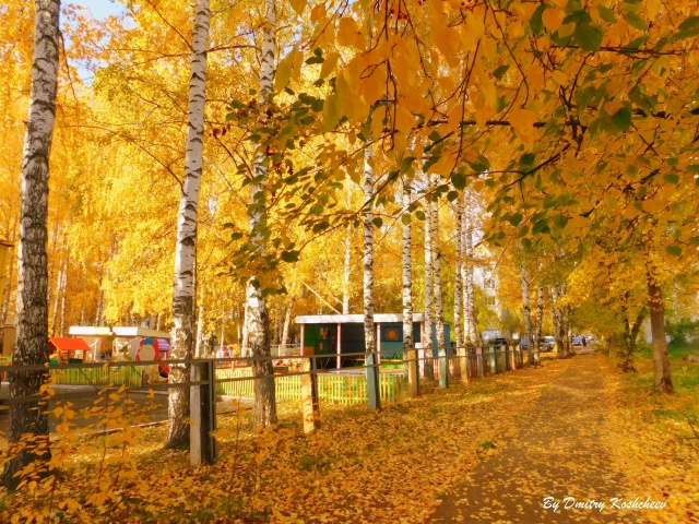 Осень бывает разной. То она одевает позолотой города д?...