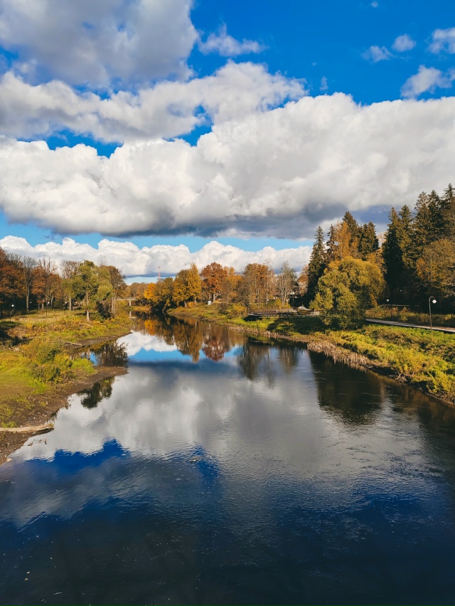 Осенняя Луга🍂