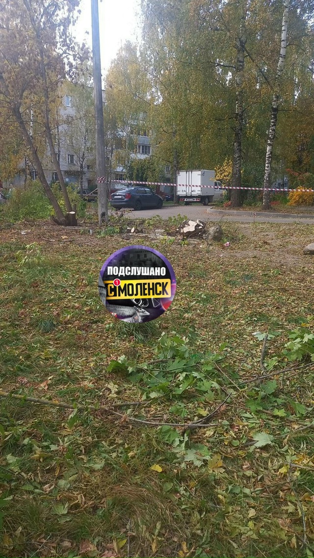 И снова вырубка деревьев. Около дома 20 по улице Николае...