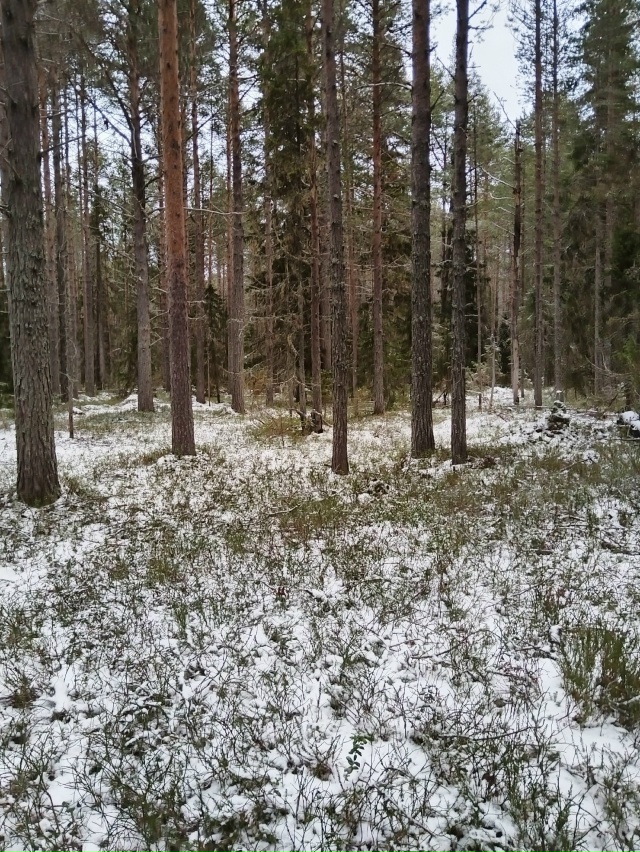 Доброго утра, Никольск❤