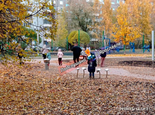 Подписчица вновь поднимает проблему нового музыкальн?...
