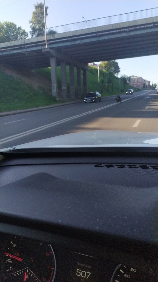 Вот такой сизый голубь сидел на ерофеевском спуске обд...