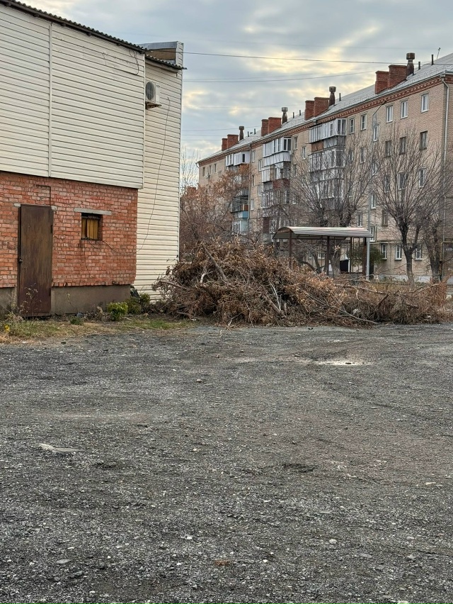 Деревья подрезали, это конечно замечательно. Но когда ?...