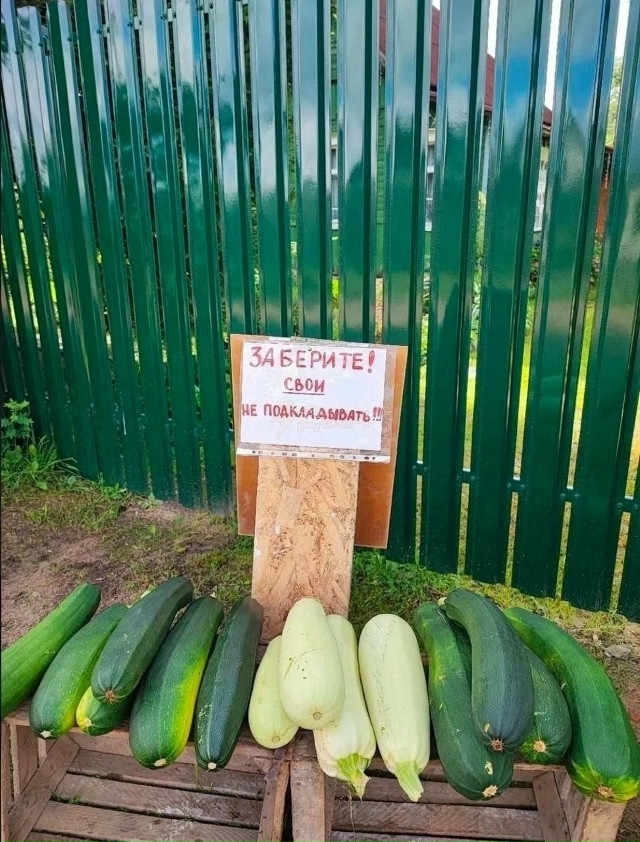 НЕ ПОДКЛАДЫВАТЬ!!!