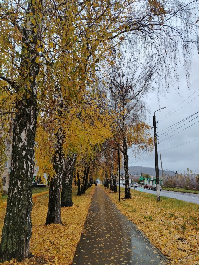 А дождь идёт а дождь идёт...