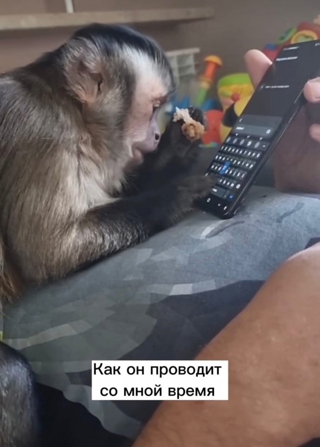 И так всегда😅