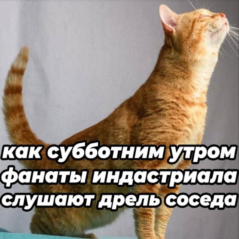 Утренняя подборочка