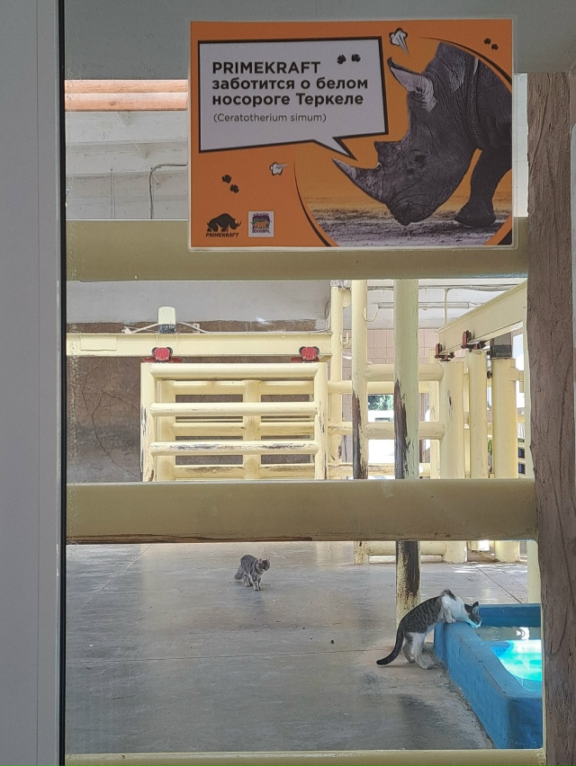 Носорог опасное животное?