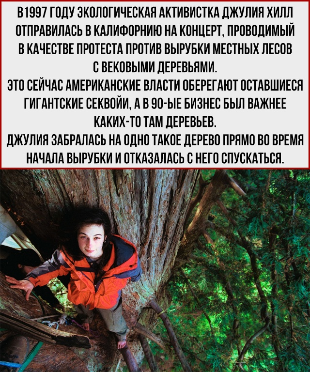 Эта история - напоминание, что один человек с сильной в?...