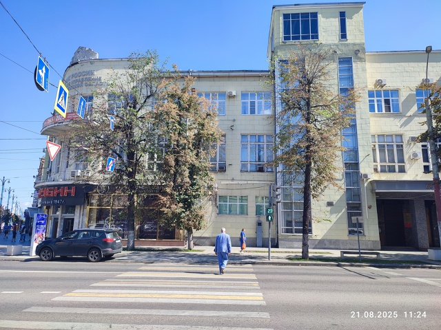 🥺На проспекте Революции вырубили липы во время ремон?...