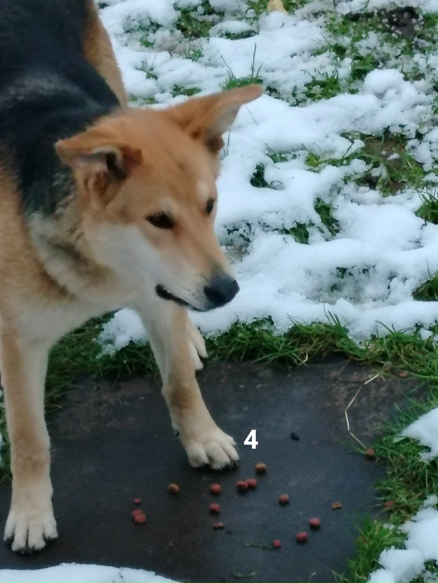 #ПотерялиНашлиПомогите
1 Найдена карта
По вопросам об...