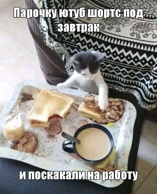 Утренняя подборочка