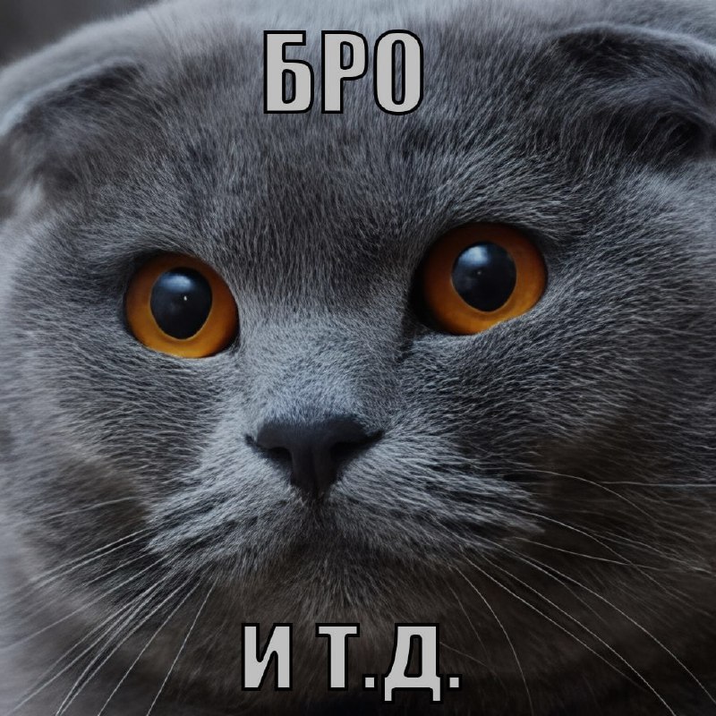Ночная подборочка
Выходные, не спим