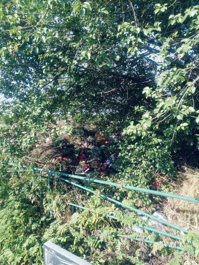Крик души!Уважаемые жители, чьи родные и близкие похор?...