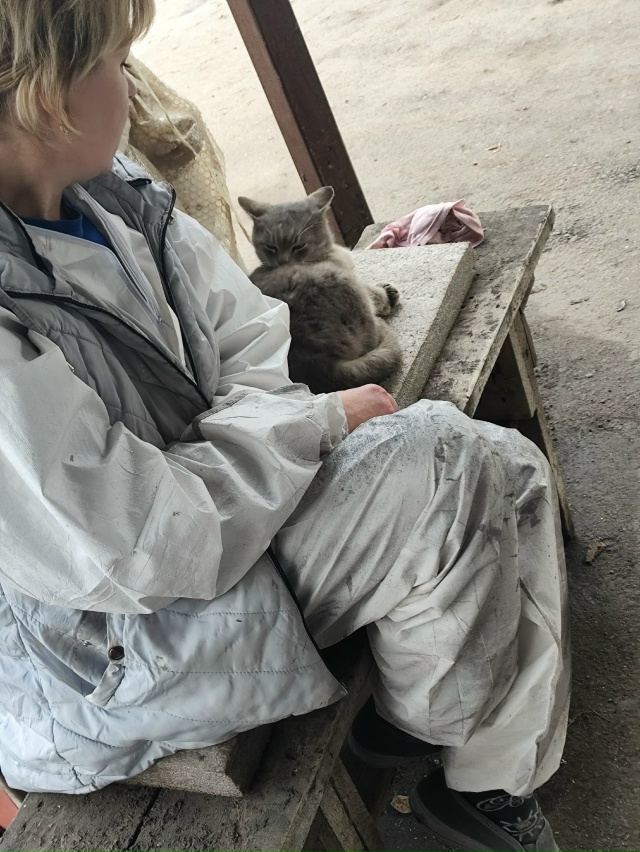 #мявстерская