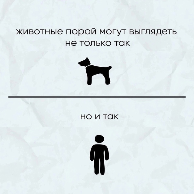 Картинки для размышления